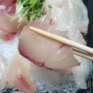 바다한접시 사진