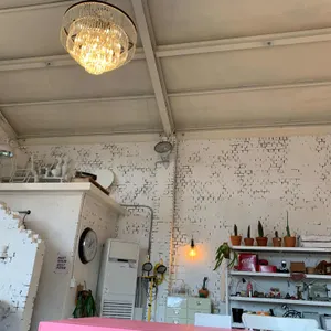 aaa jeju 리뷰 사진