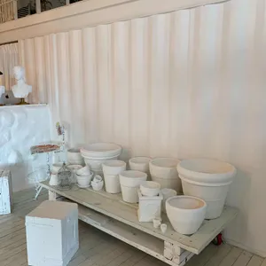 aaa jeju 리뷰 사진