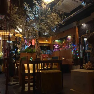 돗토리 리뷰 사진