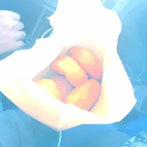 자미당 사진