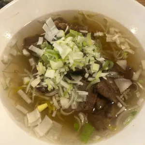 홍대개미 사진