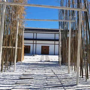 로아누 리뷰 사진