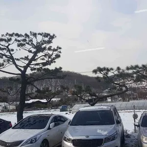 길손집 리뷰 사진
