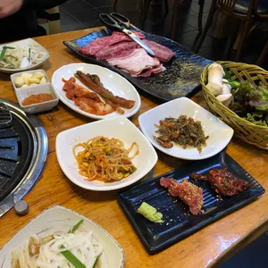 하누야 사진