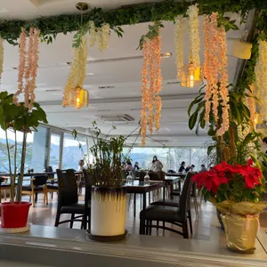 아델라베일리 리뷰 사진