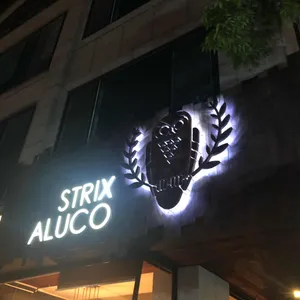 스트릭스알루코 리뷰 사진