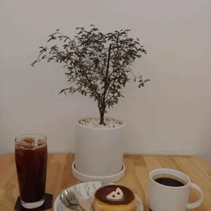 재인다방 사진