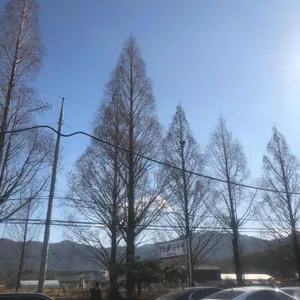 창평안두부 리뷰 사진