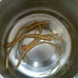 백년지기삼계탕 사진