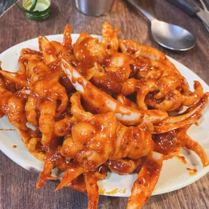 황제꼼장어 사진