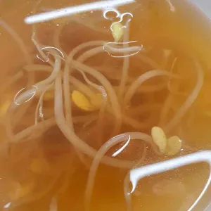 대관령 사진
