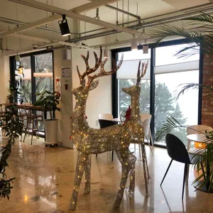 mk1252 리뷰 사진