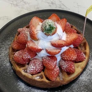 디아로마 사진