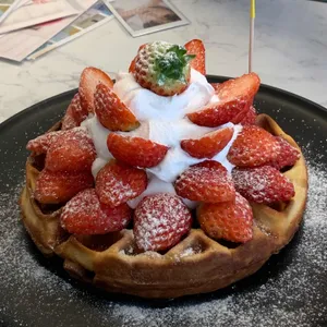 디아로마 사진
