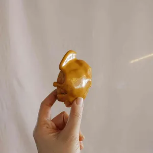 다위스 사진