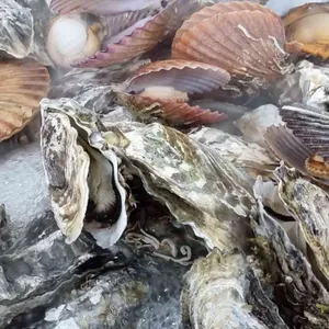 고향굴수산 사진