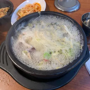 돌곰네 사진