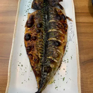 털보고된이  사진