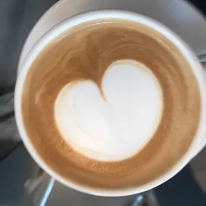 위플랜트위커피 리뷰 사진