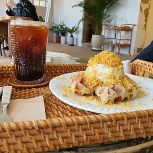 파로라 리뷰 사진