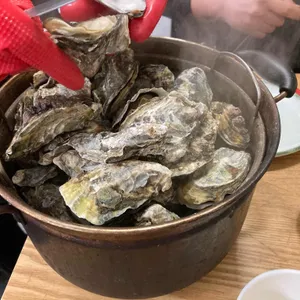 고흥아줌매 사진