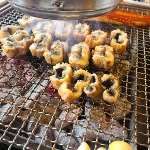 황토장어 사진