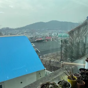 왕자정 리뷰 사진