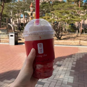 공차 사진