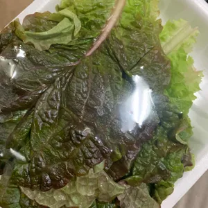 돌돌왕십리 야채곱창 사진