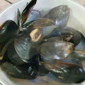 먹고보자호남횟집 사진