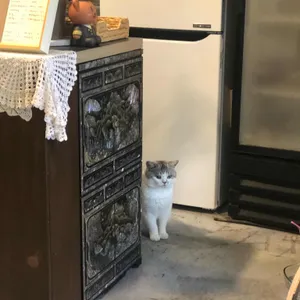 카페 시옷 리뷰 사진