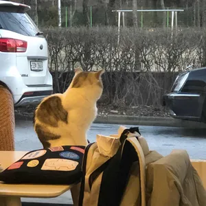 카페 시옷 리뷰 사진