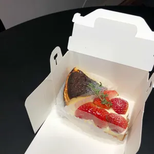 백야 사진