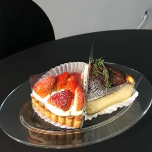 백야 사진