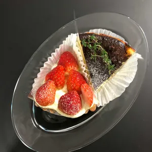 백야 사진