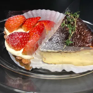 백야 사진