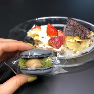 백야 사진