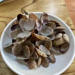 옛날바지락손칼국수 사진