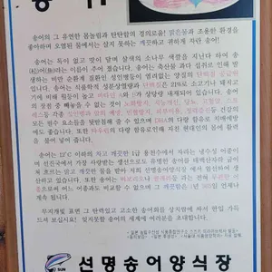 남우수산 리뷰 사진