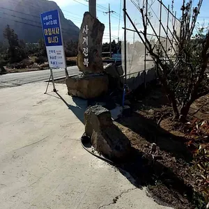 사계전복 리뷰 사진