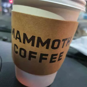 매머드 익스프레스 사진