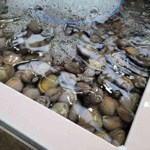 또오리회수산 사진