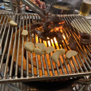 나노갈매기 사진