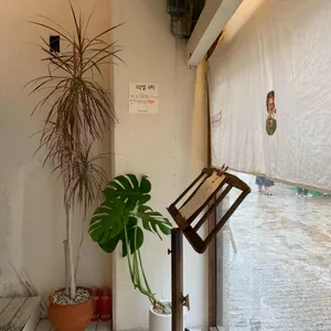 동백아가씨1961 리뷰 사진