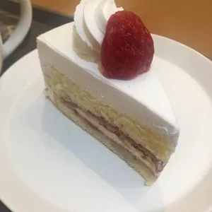 한스 사진