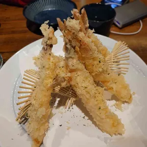 칸도우 사진