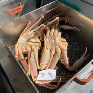 대게앤쿡 사진