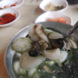 바위꽃 사진