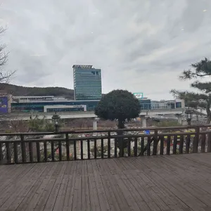바위꽃 리뷰 사진